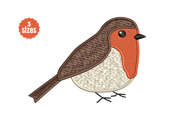 Robin Winter Bird